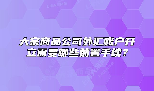 大宗商品公司外匯賬戶開立需要哪些前置手續(xù)？