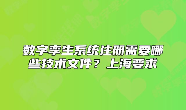 數(shù)字孿生系統(tǒng)注冊需要哪些技術文件？上海要求