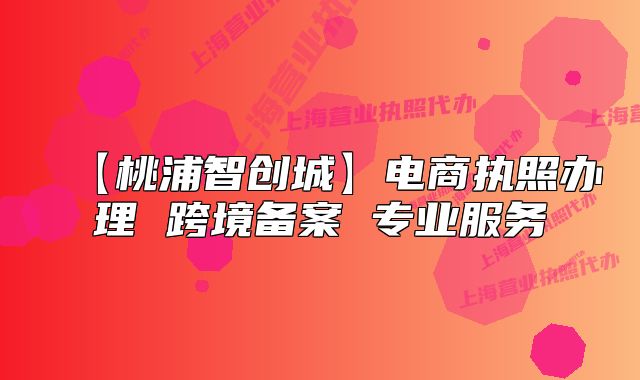 【桃浦智創(chuàng)城】電商執(zhí)照辦理 跨境備案 專業(yè)服務