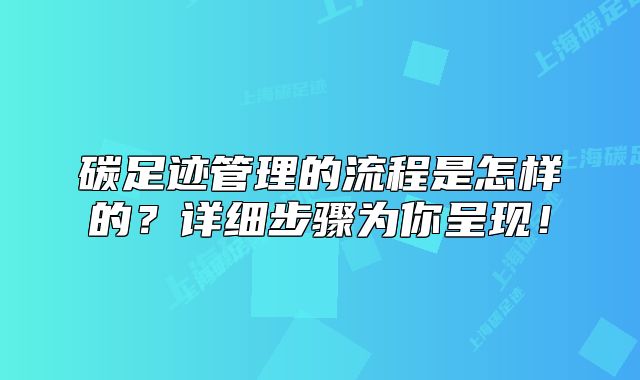 碳足跡管理的流程是怎樣的？詳細步驟為你呈現(xiàn)！