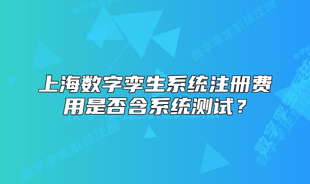 上海數(shù)字孿生系統(tǒng)注冊費(fèi)用是否含系統(tǒng)測試？