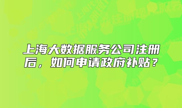 上海大數(shù)據(jù)服務(wù)公司注冊后，如何申請政府補(bǔ)貼？