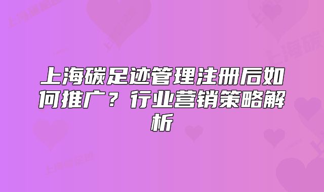 上海碳足跡管理注冊(cè)后如何推廣？行業(yè)營銷策略解析