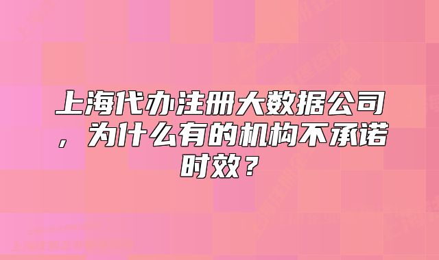 上海代辦注冊(cè)大數(shù)據(jù)公司，為什么有的機(jī)構(gòu)不承諾時(shí)效？