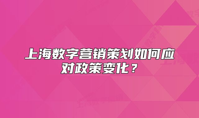 上海數(shù)字營銷策劃如何應(yīng)對政策變化？