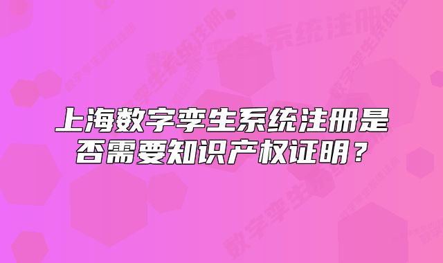 上海數(shù)字孿生系統(tǒng)注冊(cè)是否需要知識(shí)產(chǎn)權(quán)證明？