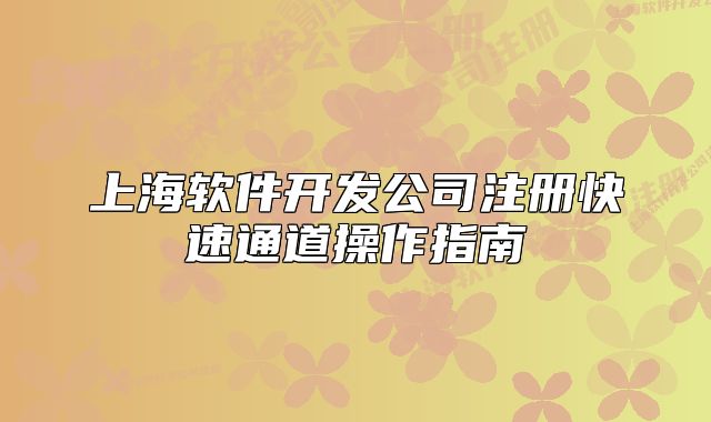 上海軟件開(kāi)發(fā)公司注冊(cè)快速通道操作指南