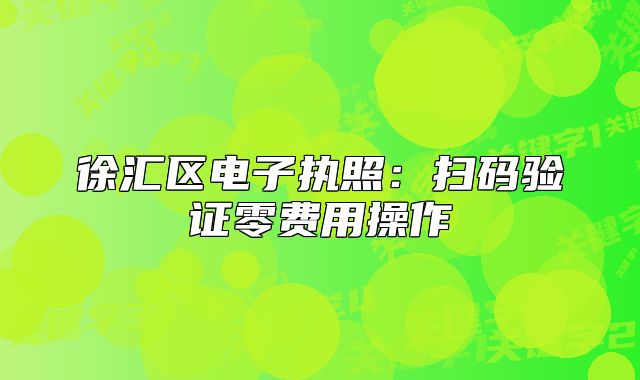 徐匯區(qū)電子執(zhí)照：掃碼驗(yàn)證零費(fèi)用操作