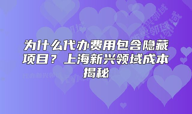 為什么代辦費用包含隱藏項目？上海新興領(lǐng)域成本揭秘