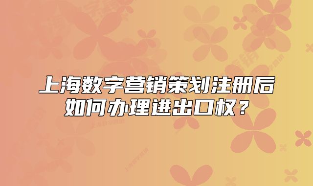 上海數(shù)字營銷策劃注冊后如何辦理進(jìn)出口權(quán)？