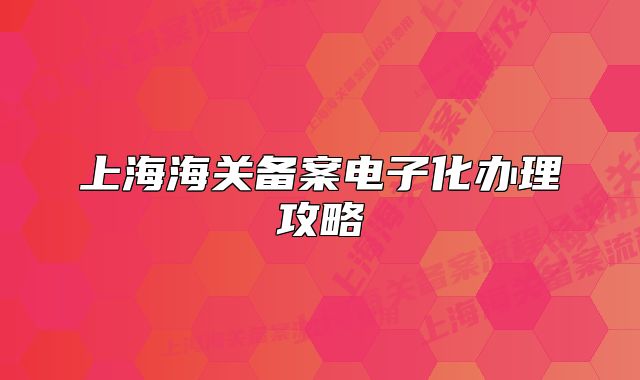 上海海關(guān)備案電子化辦理攻略
