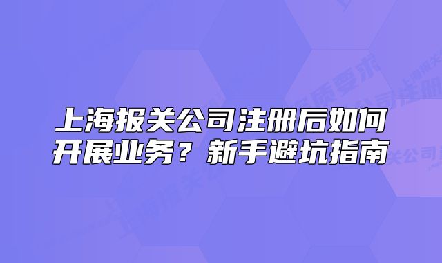 上海報(bào)關(guān)公司注冊(cè)后如何開(kāi)展業(yè)務(wù)？新手避坑指南