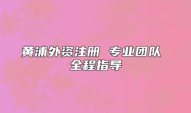 黃浦外資注冊(cè) 專業(yè)團(tuán)隊(duì) 全程指導(dǎo)