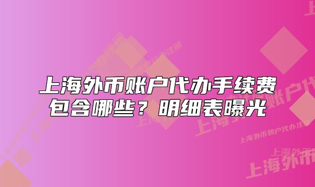 上海外幣賬戶代辦手續(xù)費(fèi)包含哪些？明細(xì)表曝光