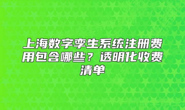上海數(shù)字孿生系統(tǒng)注冊費用包含哪些？透明化收費清單