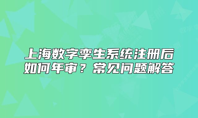 上海數字孿生系統(tǒng)注冊后如何年審？常見問題解答