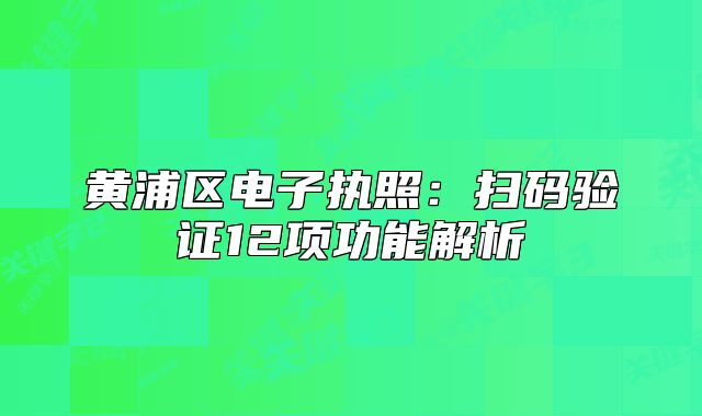 黃浦區(qū)電子執(zhí)照：掃碼驗證12項功能解析