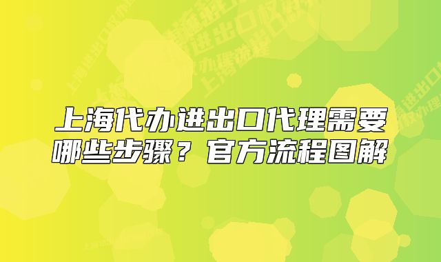 上海代辦進(jìn)出口代理需要哪些步驟？官方流程圖解