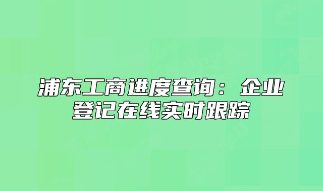 浦東工商進(jìn)度查詢：企業(yè)登記在線實(shí)時(shí)跟蹤