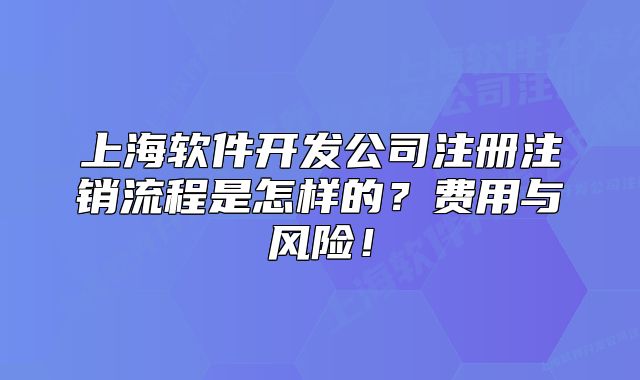 上海軟件開發(fā)公司注冊注銷流程是怎樣的？費用與風險！