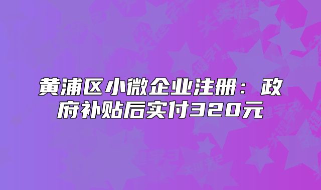黃浦區(qū)小微企業(yè)注冊：政府補貼后實付320元