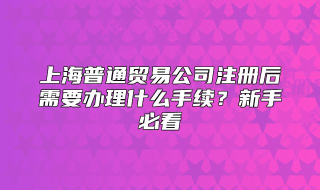上海普通貿(mào)易公司注冊后需要辦理什么手續(xù)？新手必看