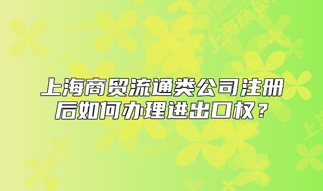 上海商貿(mào)流通類公司注冊后如何辦理進出口權(quán)？