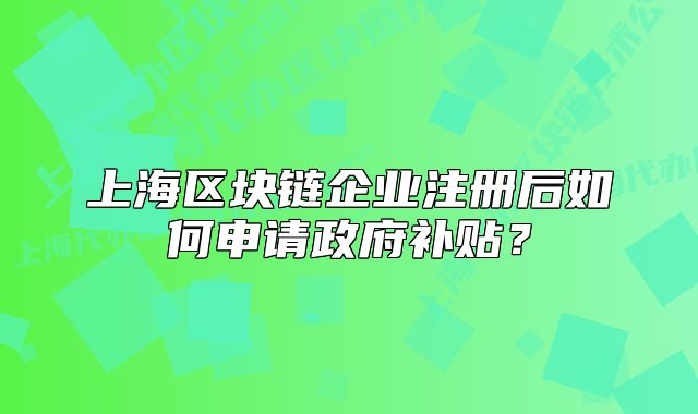 上海區(qū)塊鏈企業(yè)注冊后如何申請政府補貼？