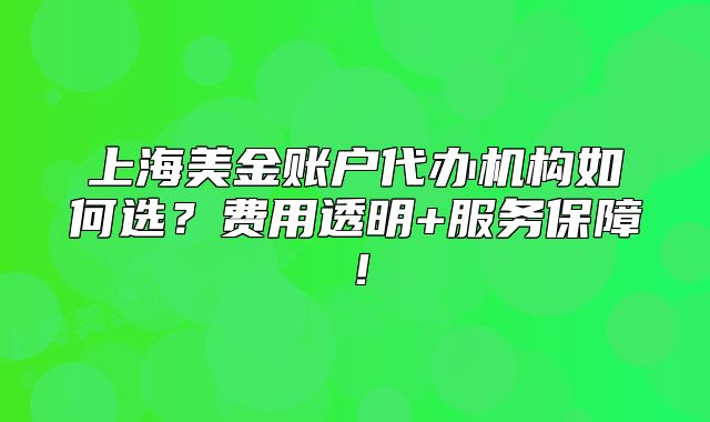 上海美金賬戶代辦機構(gòu)如何選？費用透明+服務(wù)保障！