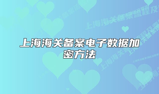 上海海關(guān)備案電子數(shù)據(jù)加密方法