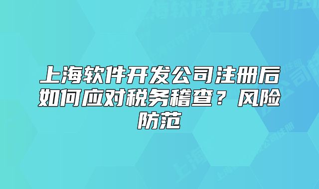 上海軟件開發(fā)公司注冊后如何應(yīng)對稅務(wù)稽查？風(fēng)險防范