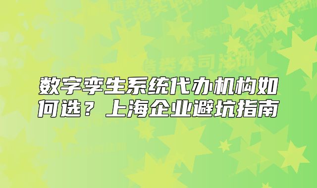 數(shù)字孿生系統(tǒng)代辦機構(gòu)如何選？上海企業(yè)避坑指南