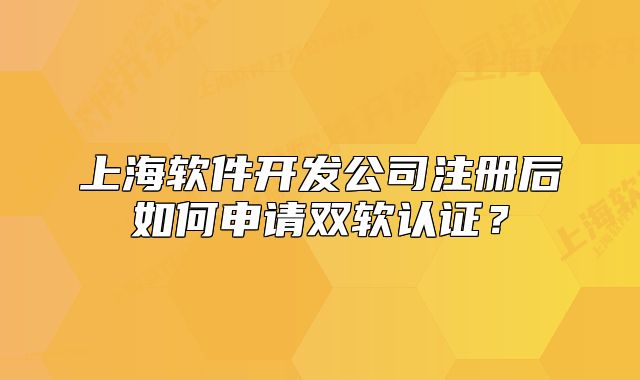 上海軟件開發(fā)公司注冊后如何申請雙軟認證？
