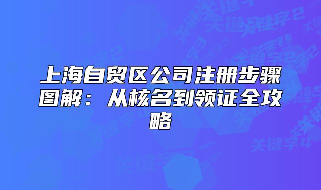 上海自貿(mào)區(qū)公司注冊步驟圖解:從核名到領(lǐng)證全攻略