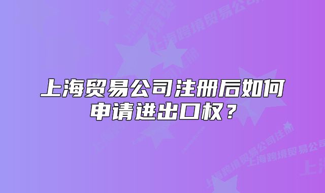 上海貿(mào)易公司注冊(cè)后如何申請(qǐng)進(jìn)出口權(quán)？
