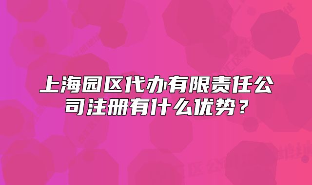 上海園區(qū)代辦有限責任公司注冊有什么優(yōu)勢？