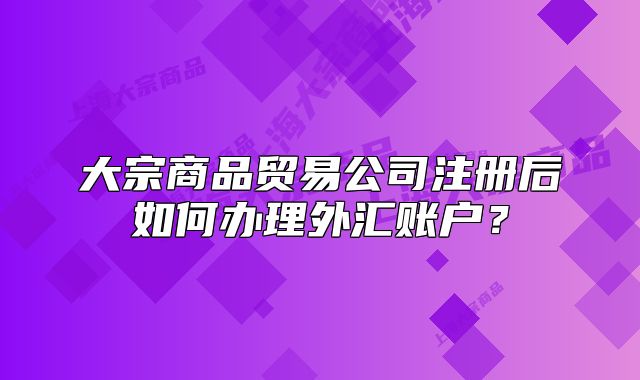大宗商品貿(mào)易公司注冊后如何辦理外匯賬戶？
