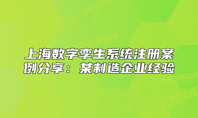 上海數(shù)字孿生系統(tǒng)注冊(cè)案例分享：某制造企業(yè)經(jīng)驗(yàn)