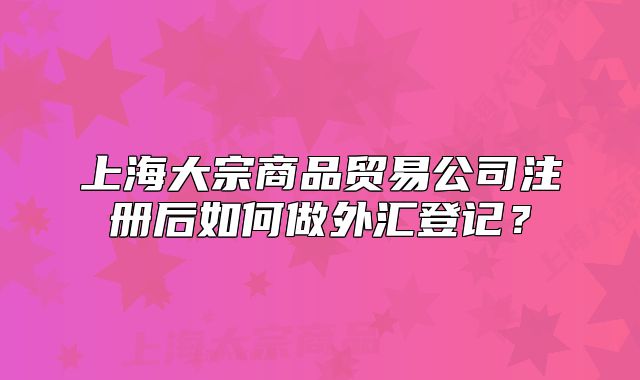 上海大宗商品貿(mào)易公司注冊后如何做外匯登記？