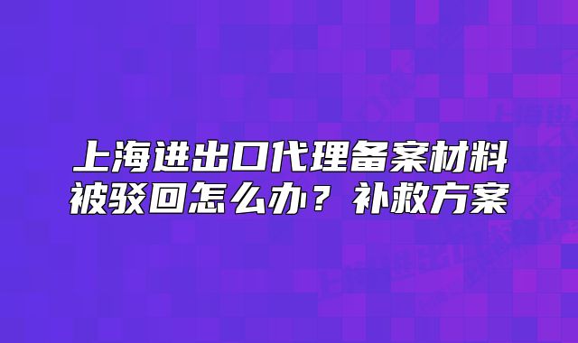 上海進(jìn)出口代理備案材料被駁回怎么辦？補救方案