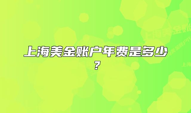 上海美金賬戶年費(fèi)是多少？