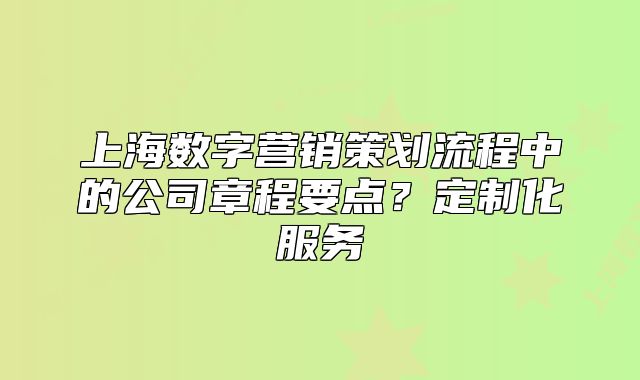 上海數(shù)字營(yíng)銷策劃流程中的公司章程要點(diǎn)？定制化服務(wù)