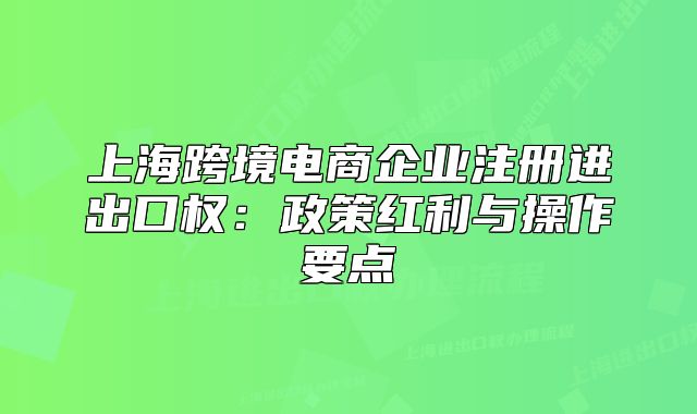 上海跨境電商企業(yè)注冊進出口權：政策紅利與操作要點