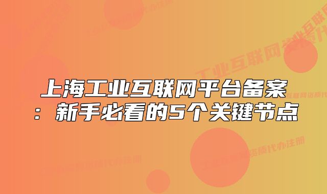上海工業(yè)互聯(lián)網(wǎng)平臺(tái)備案：新手必看的5個(gè)關(guān)鍵節(jié)點(diǎn)