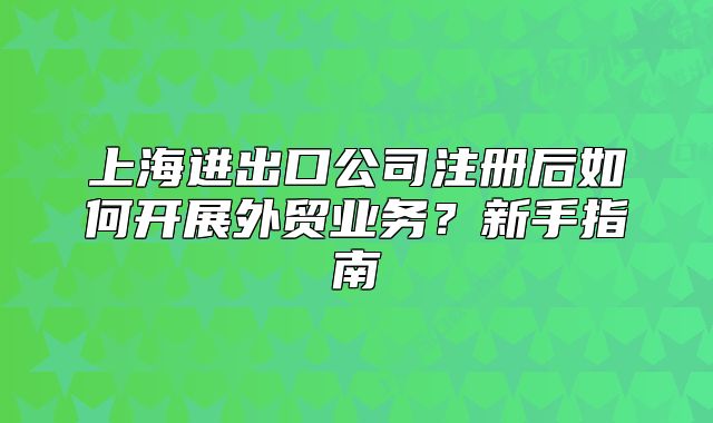 上海進(jìn)出口公司注冊(cè)后如何開展外貿(mào)業(yè)務(wù)？新手指南