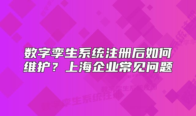 數(shù)字孿生系統(tǒng)注冊后如何維護？上海企業(yè)常見問題