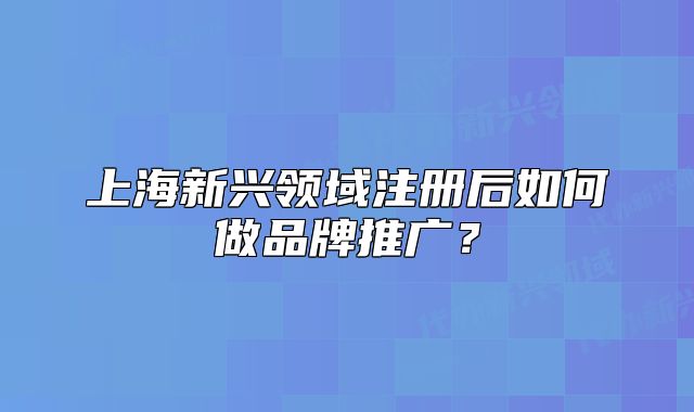 上海新興領(lǐng)域注冊后如何做品牌推廣？