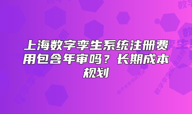 上海數(shù)字孿生系統(tǒng)注冊(cè)費(fèi)用包含年審嗎？長(zhǎng)期成本規(guī)劃