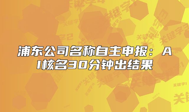 浦東公司名稱自主申報(bào):AI核名30分鐘出結(jié)果