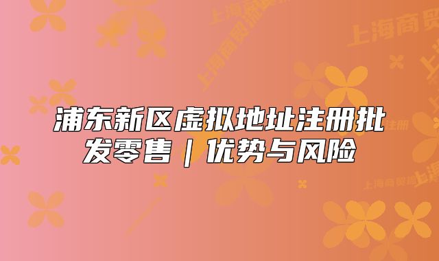 浦東新區(qū)虛擬地址注冊批發(fā)零售｜優(yōu)勢與風險